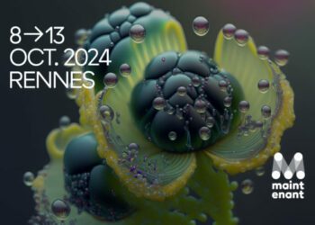 Rencontres professionnelles du Festival Maintenant 2024 : Action culturelle en environnement numérique