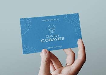 Restitution du Club des Cobayes – Augures Lab numérique responsable